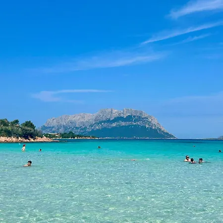 Olbiamare 44