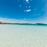Olbiamare 44 *